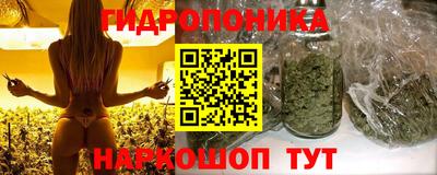 прущие грибы Жуковский