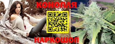 прущие грибы Жуковский